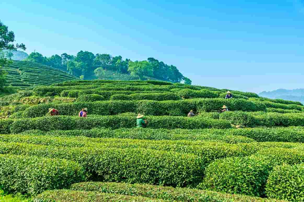 Mcleodganj Tour Package